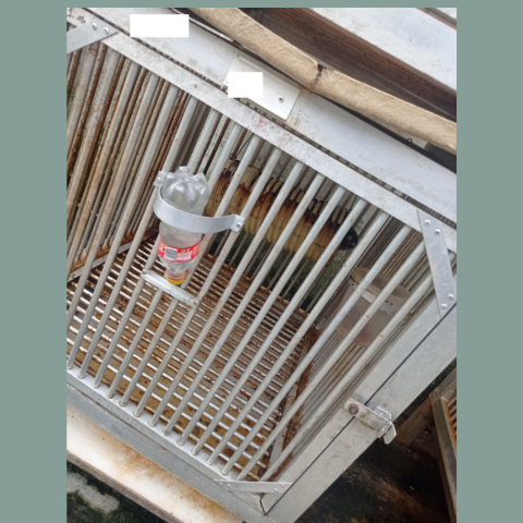 Metal dirty cage with a night monkey in it. A soda bottle being used as a water dispenser for the monkey
